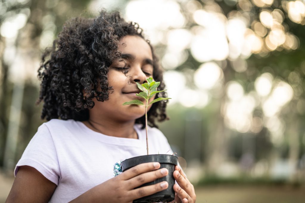 Menina negra de cabelos encaracolados soltos inspira o aroma de uma muda de planta que carrega nas mãos.